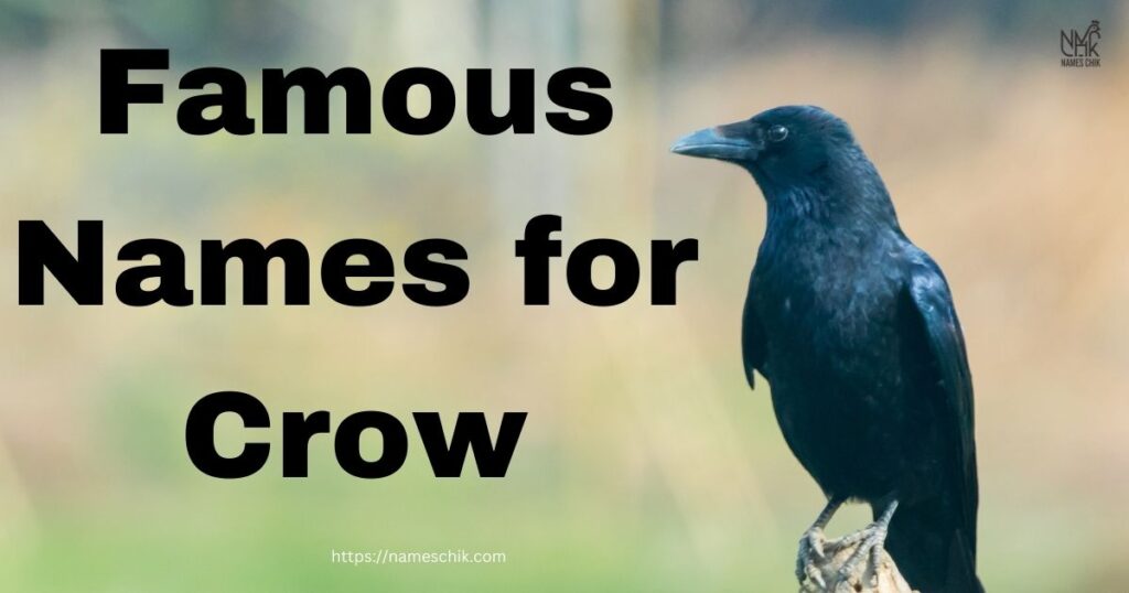 Famous Names for Crow