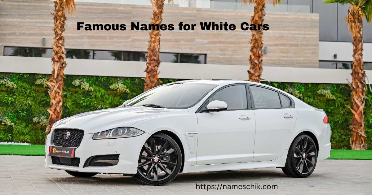 Famous Names for White Cars