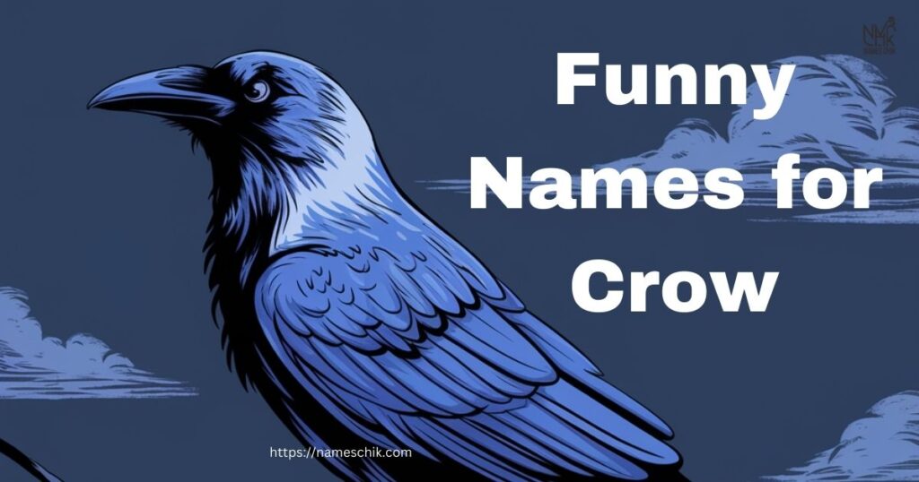 Funny Names for Crow