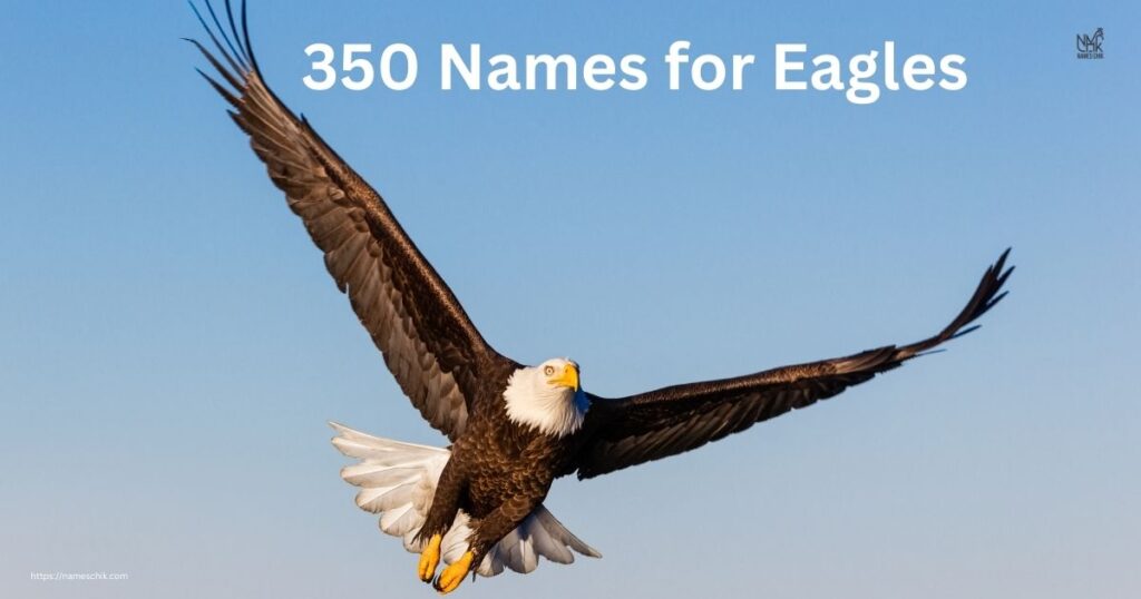 350 Names for Eagles