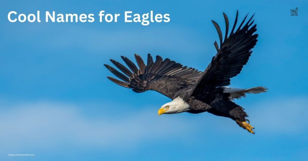 Cool Names for Eagles