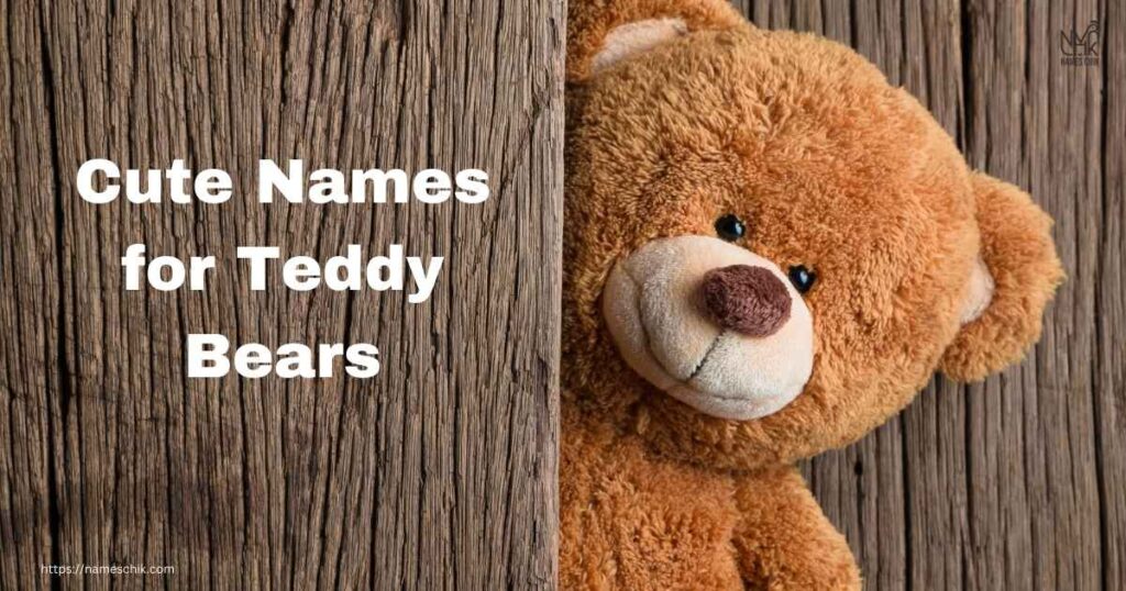 Cute Names for Teddy Bears