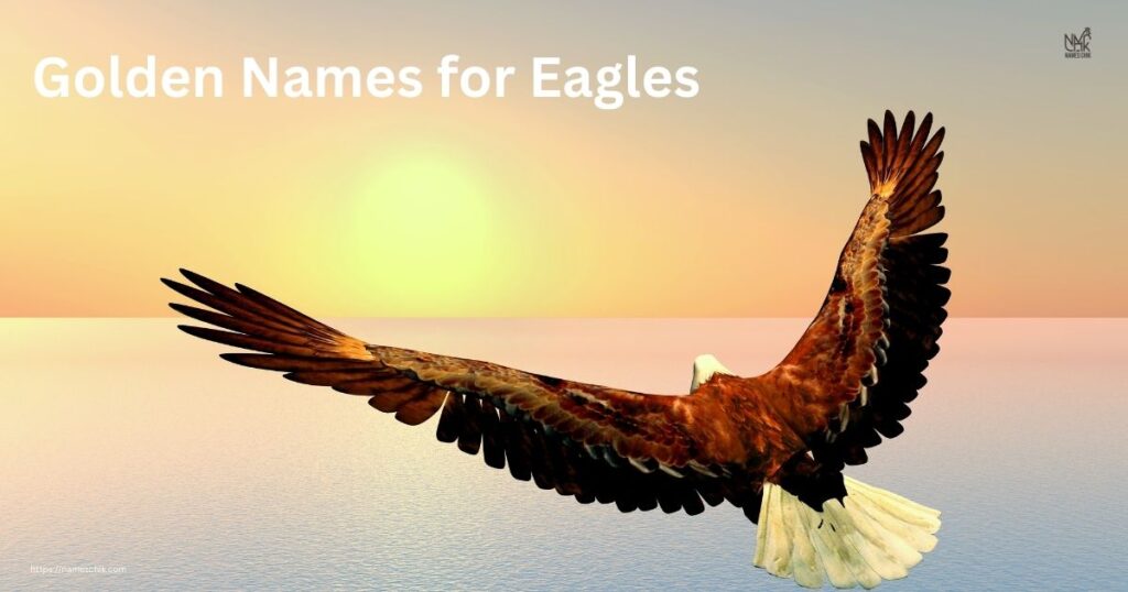 Golden Names for Eagles