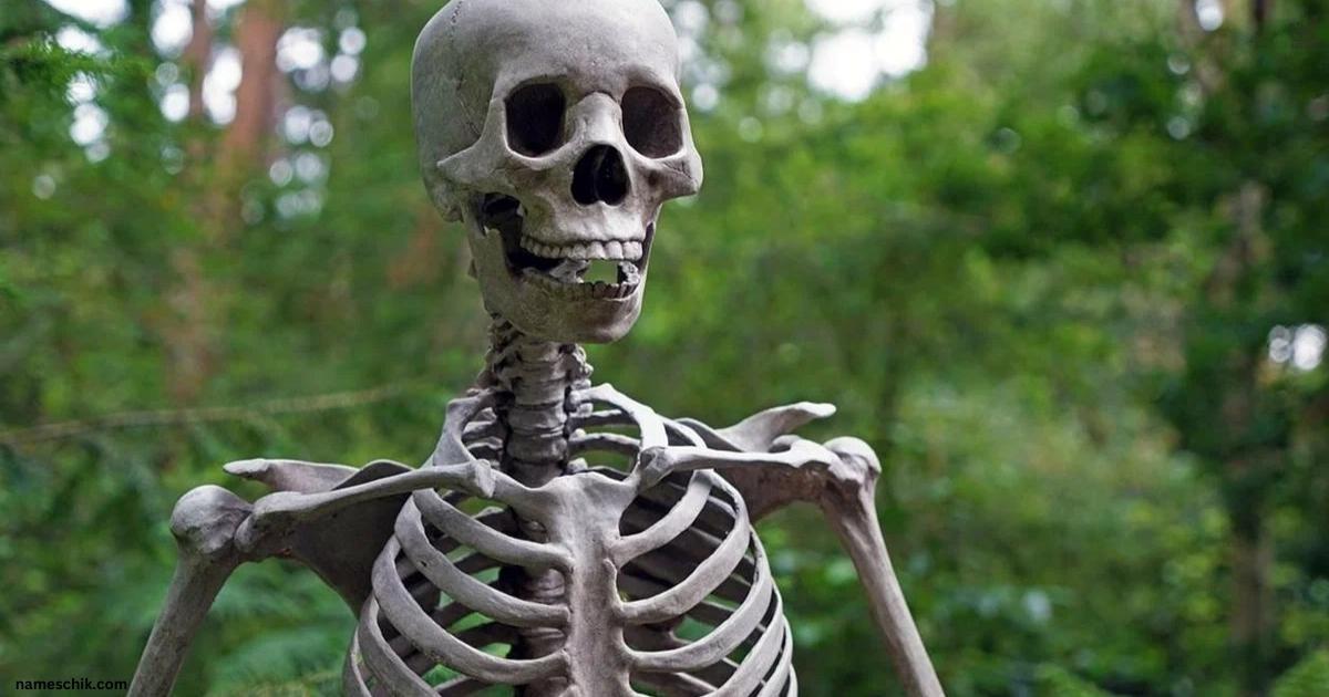 Creepy and Clever Skeleton Names to Haunt Your Imagination