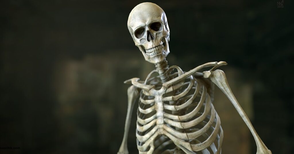 Gentleman and Nerdy Skeleton Name Ideas
