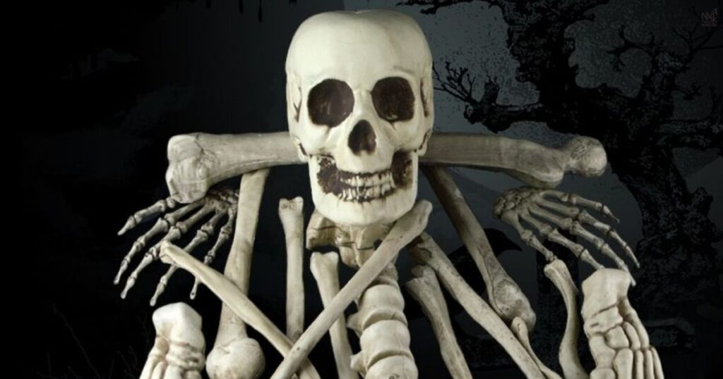 Skeleton Names from Nature